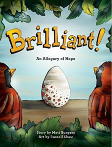 brilliant-adoption-book